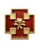 Pins Rosacroce