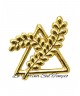 PIN TRIANGOLO E RAMO ACACIA