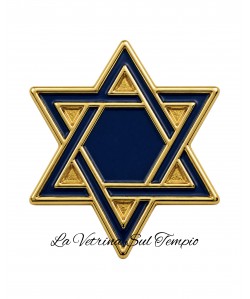 PIN STELLA DI DAVID