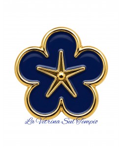 PINS NON TI SCORDAR Di ME CON STELLA AL CENTRO