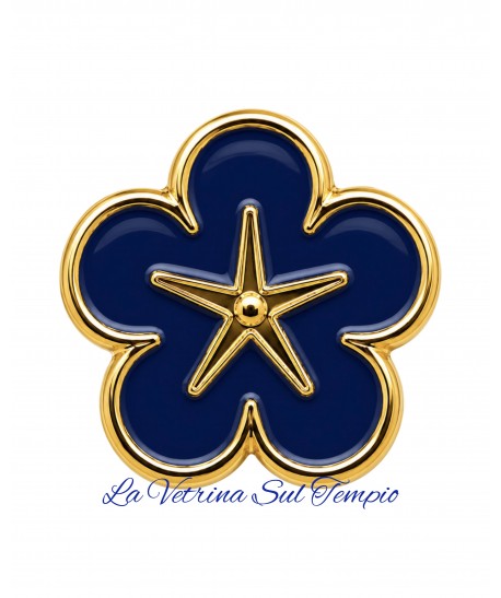 PIN NON TI SCORDAR DI ME STELLATO