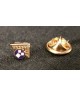 PIN EX MAESTRO VENERABILE