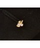 Pin Maestro